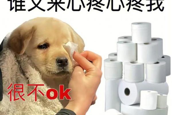 梦见前夫不搭理我是什么意思