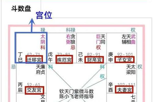 紫微斗数命盘详解(紫微斗数命盘详解图)
