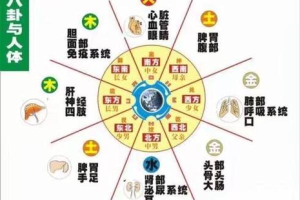 关于风水的小说(关于风水的小说有张家小子和虎子及蛇的小说名字)