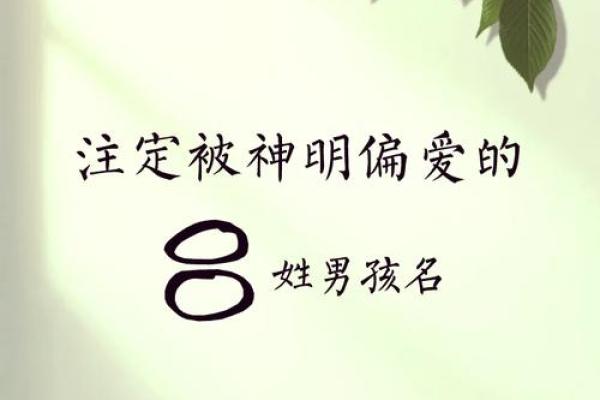 吕姓男孩起名(吕姓男孩起名96分以上)