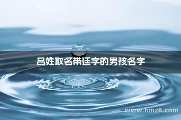 吕姓男孩起名(吕姓男孩起名96分以上)