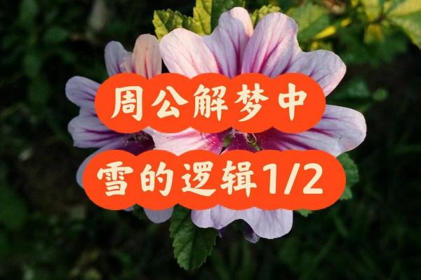 梦到下雪是什么征兆周公解梦