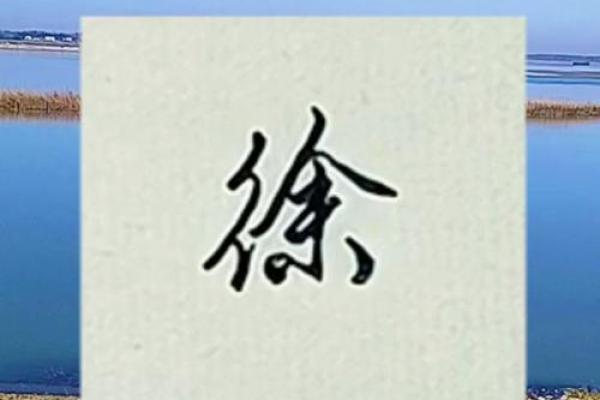 2025年男宝宝取名字最佳字(2025年男宝宝取名字最佳字姓徐)