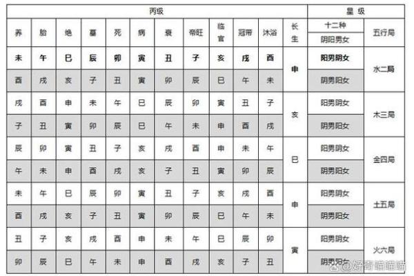 紫微斗数如何排盘(紫微斗数排盘方法步骤总表)
