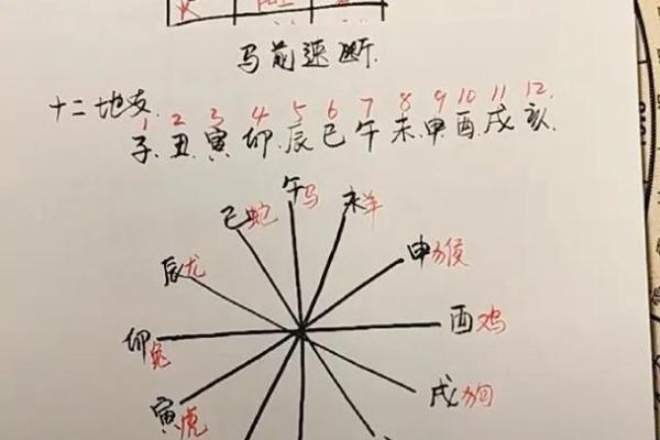 大六壬排盘元亨利贞(小六壬详解)