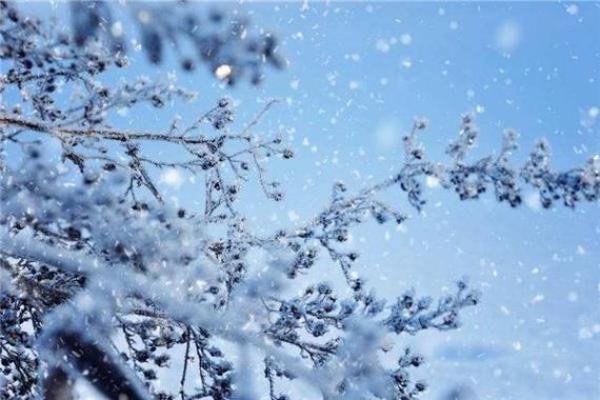 做梦梦到下雪了是什么预兆