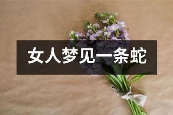 梦见蛇好吗周公解梦