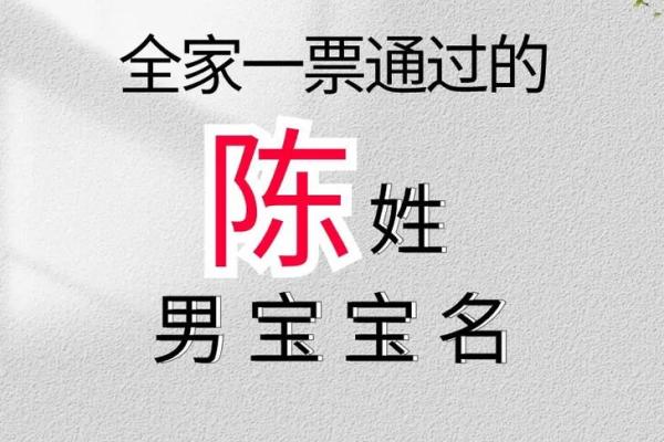 陈姓好听稀少的男孩名字