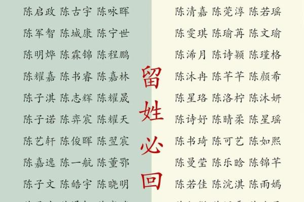 陈姓好听稀少的男孩名字