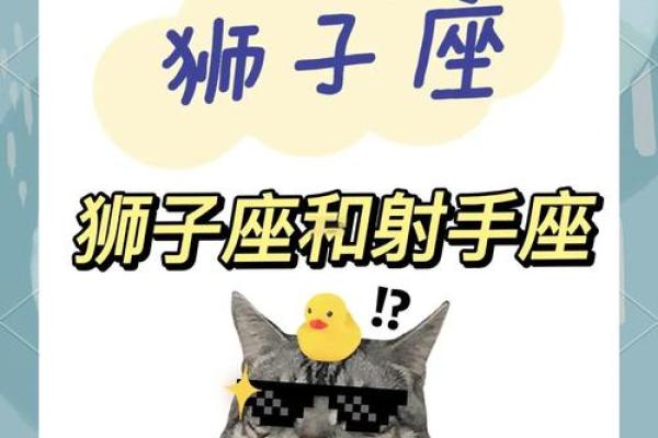 射手男和狮子女配对指数(射手男和狮子女谁更离不开谁)