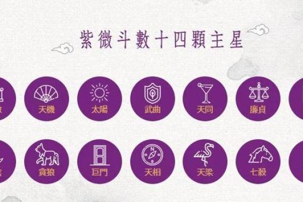 紫微斗数42个格局详解(紫微斗数格局大全含图)