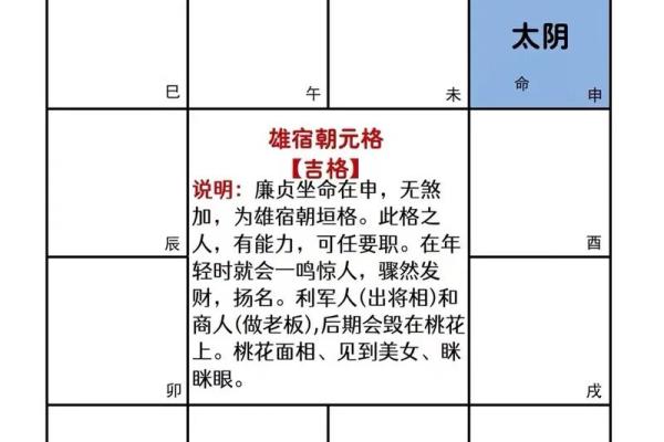 紫微斗数42个格局详解(紫微斗数格局大全含图)