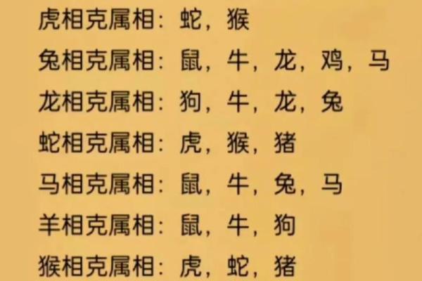 属鸡和兔相配婚姻如何(属鸡和兔配吗)