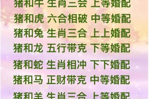 龙猪婚配的婚姻如何(龙男猪女适合做夫妻吗)