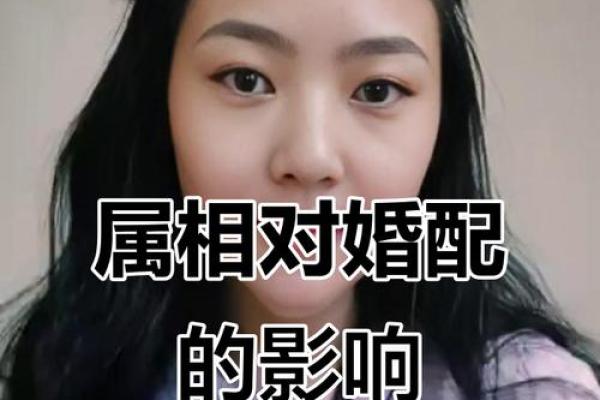 鼠男和兔女相配婚姻如何(鼠男跟兔女婚姻好吗)