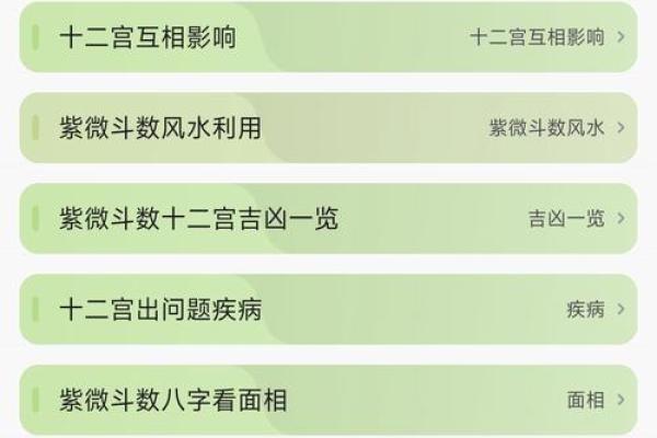 紫微斗数解析(紫微斗数解析app)