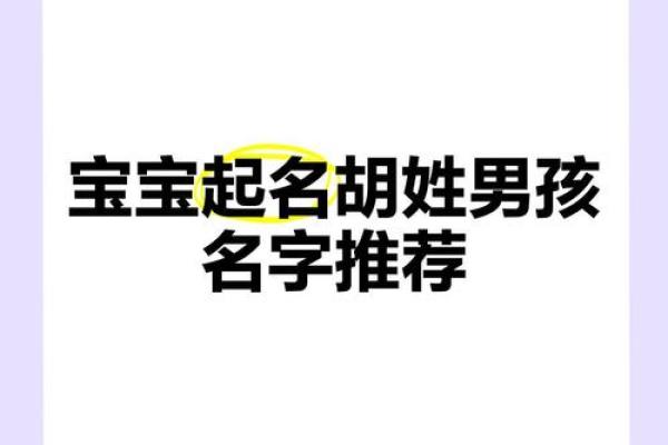 胡姓好听稀少的男孩名字(胡姓好听稀少的男孩名字带水)