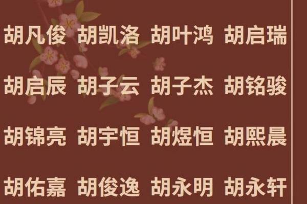 胡姓好听稀少的男孩名字(胡姓好听稀少的男孩名字带水)