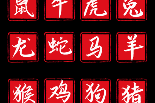 女蛇男马八字合不合(女蛇男马八字合不合婚)