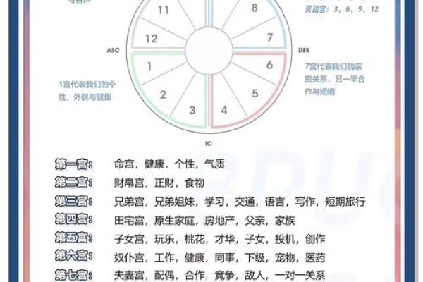 免费测星座星盘(免费测星座星盘的软件)