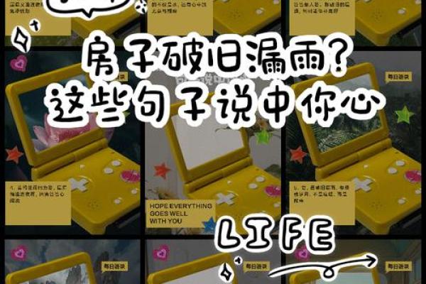 梦到家里房子漏雨代表的是什么
