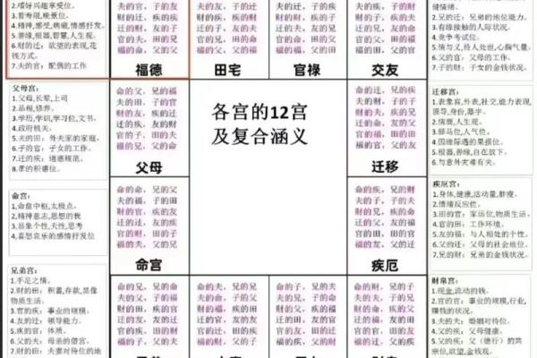 八字和紫微斗数哪个准(紫微斗数和八字哪个更容易学懂)