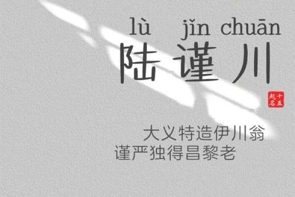 陆姓好听稀少的男孩名字