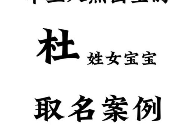 杜姓男孩子取名大全(杜姓男孩子取名大全2024)