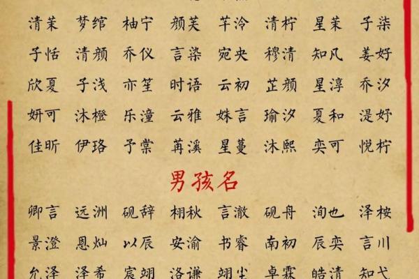 聪明有出息的男孩名字(聪明有出息的男孩名字周)