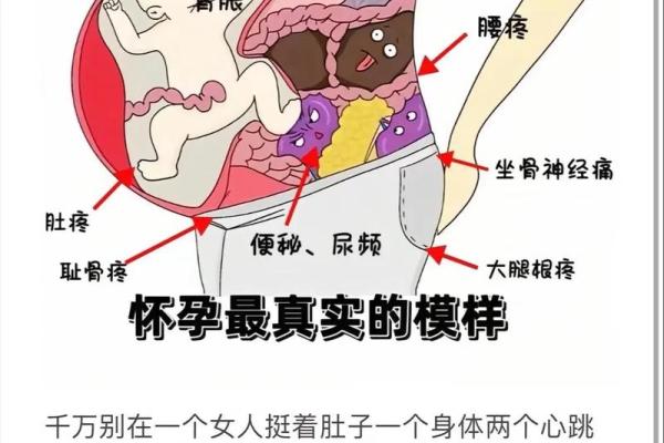 女性耻骨高的风水(耻骨高的女人性格特点)