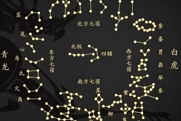 2024年玄空飞星图(2024年玄空飞星图四绿文曲星位)