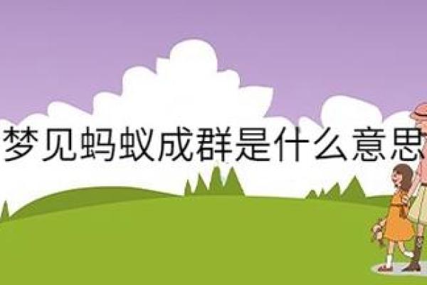 梦见自己身上爬满蚂蚁是什么意思