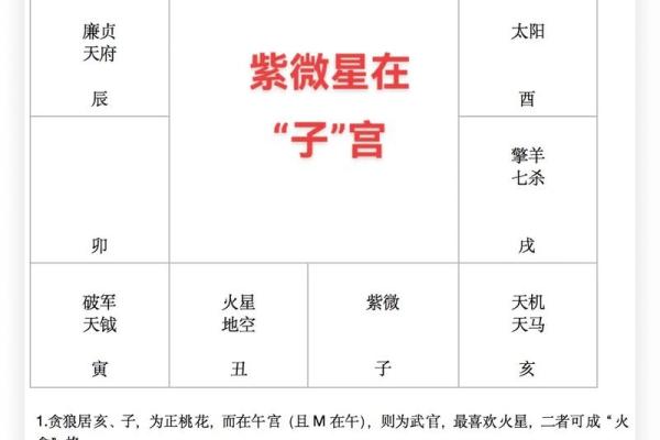 紫微斗数子女宫详解(紫微斗数子女宫紫薇)