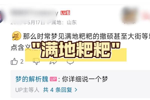 梦到粪便沾到身上