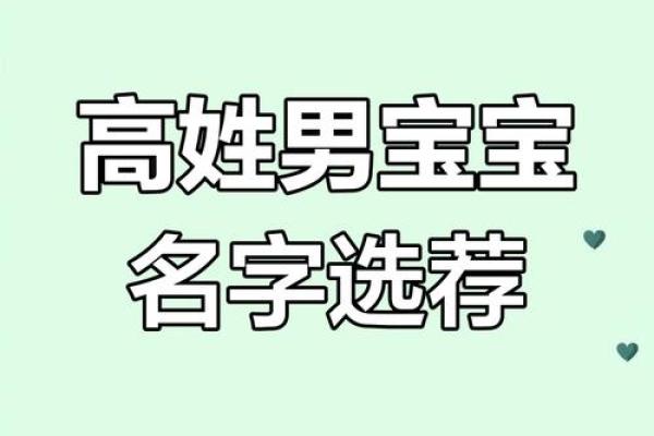 高姓男宝宝取名2025