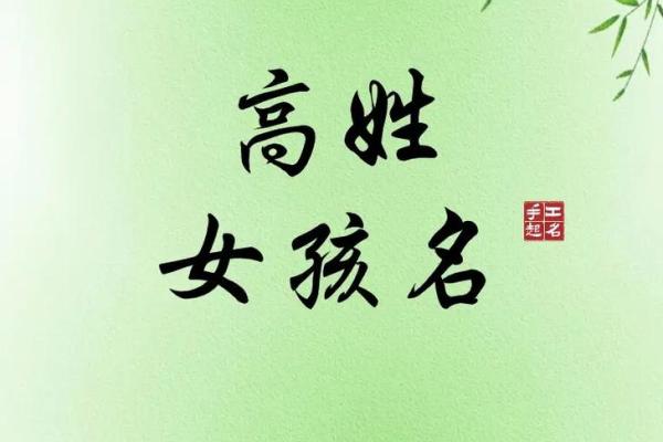 高姓男宝宝取名2025