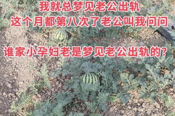 老梦见老公出轨是怎么回事