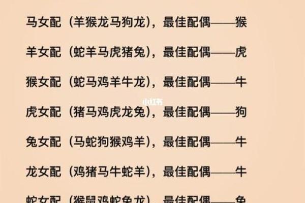 怎么看两个人的八字合不合(怎么看两个人的八字合不合婚)
