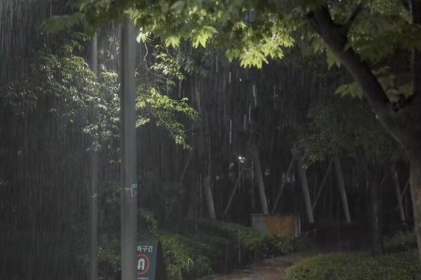 梦见晚上下雨