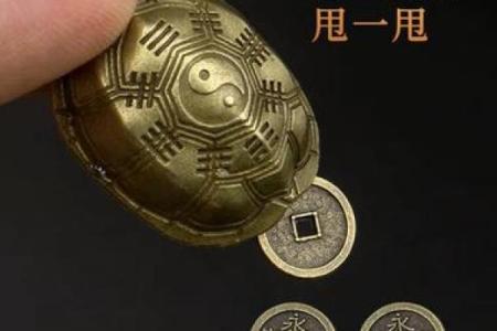 龟壳占卜六爻(周易六爻龟壳)
