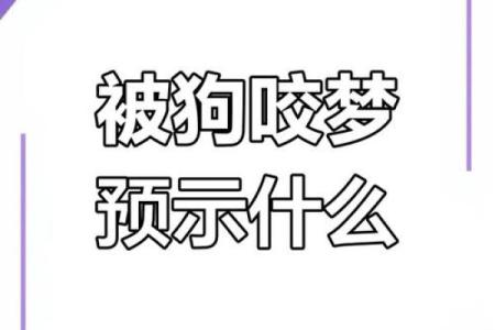 梦见儿子被狗咬