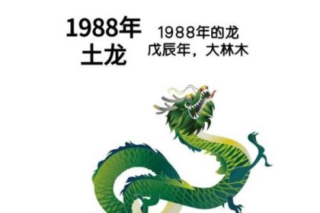 88年龙2025年运势全年运势(88年龙2025年运势全年运势男)