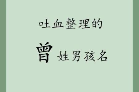 林姓男孩取名100分(曾姓男孩取名100分)