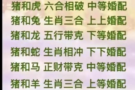 虎女猴男婚配的婚姻如何(男猴和女虎其实非常配)