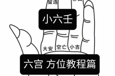 小六壬排盘软件(小六壬排盘软件下载免费安装)