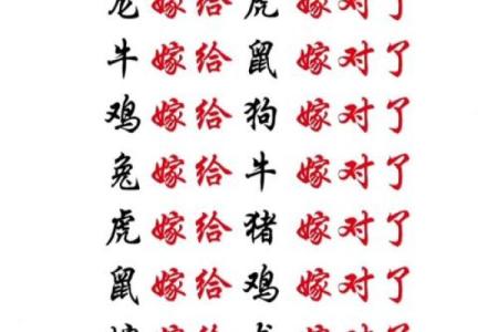 虎女牛男婚配的婚姻如何(虎女牛男婚配的婚姻如何虎女虎男)