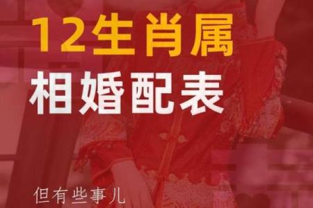 鼠女和虎男相配婚姻如何(男鼠女马相配婚姻会怎么样)