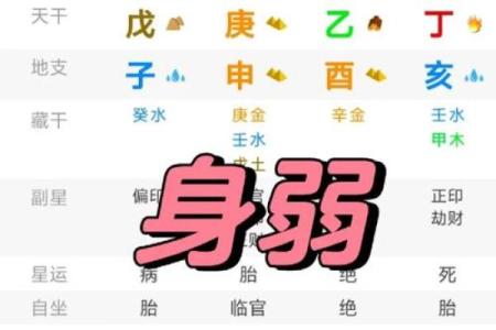 八字排盘元亨利贞排盘 免费(八字排盘元亨利贞排盘 免费十二地支的阴阳属性)