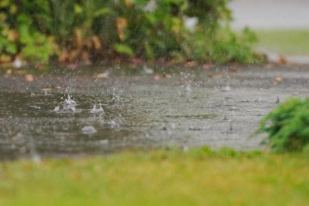 梦见下雨路上都是泥,很不好走