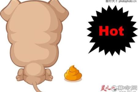 梦见衣服上有屎